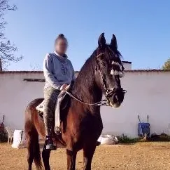Jelena, 31